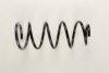 CITRO 5002AZ Coil Spring